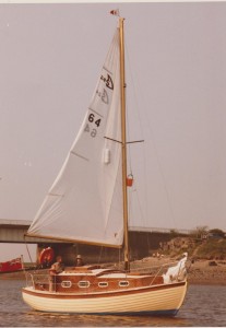 whimbrel swale 1st year Note bucket for bridge