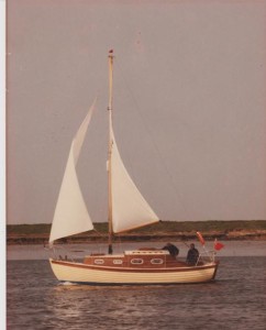 whimbrel when young - by unknown - around Swale 1984 - Copy