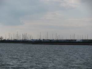 IMG_5979 - Copy