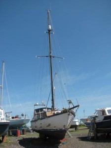 IMG_6120 - Copy