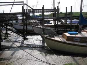 IMG_6127 - Copy