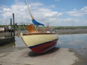 IMG_6137 - Copy