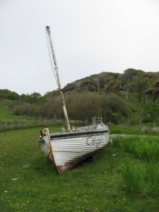 IMG_6503 - Copy