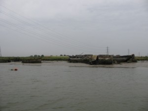 IMG_6591