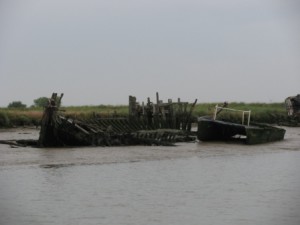 IMG_6592