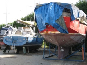 IMG_6717 - Copy