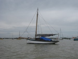 IMG_7062 - comp