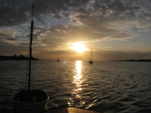 IMG_7176 - comp