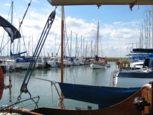 IMG_7200 comp