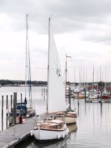 Seaden and serenity at gillingham - shane hoadley