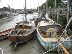 IMG_6599 - Copy