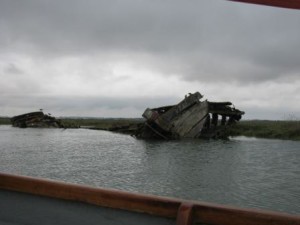 IMG_6765 - Copy