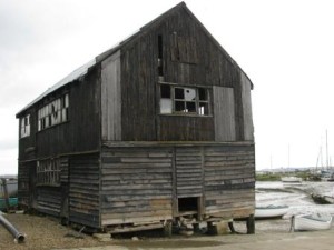 IMG_7241 - Copy