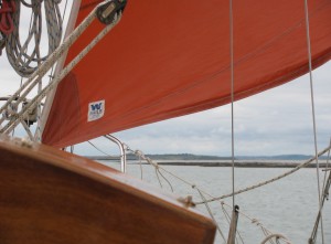 IMG_7323 - Copy