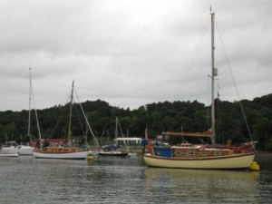 IMG_7356 - Copy