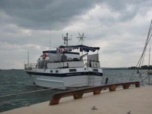 IMG_7361 - Copy