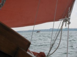 IMG_7369 - Copy