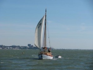 IMG_7405 - Copy