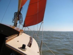 IMG_7488 - Copy