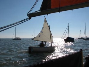 IMG_7490 - Copy