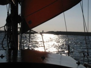 IMG_7501 - Copy