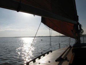 IMG_7781 comp