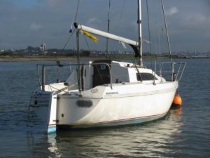 IMG_7783 comp