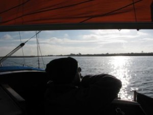 IMG_7785 comp