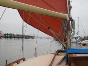 IMG_7808 - Copy