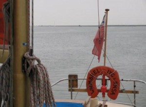 IMG_7815 - Copy