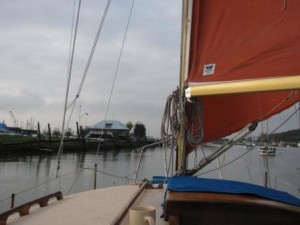 IMG_7817 - Copy