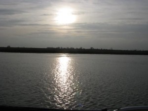 IMG_7818 - Copy
