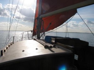 IMG_8012 - Copy