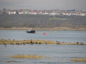 IMG_8100 - Copy