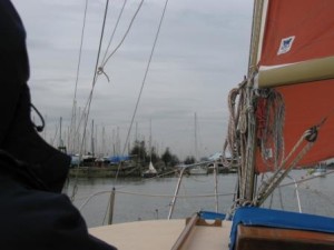 IMG_8107 - Copy