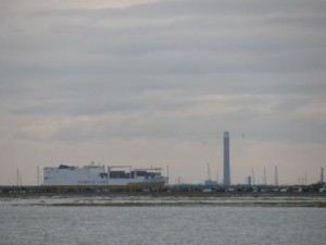 IMG_8113 - Copy