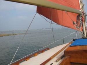 IMG_8115 - Copy