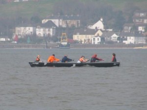 IMG_8120 - Copy
