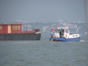 IMG_8121 - Copy