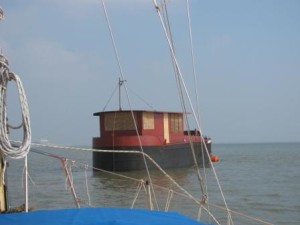 IMG_8124 - Copy