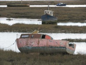 IMG_8134 - Copy