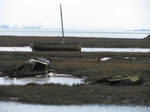 IMG_8136 - Copy