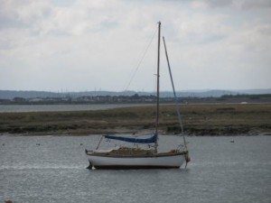 IMG_8138 - Copy