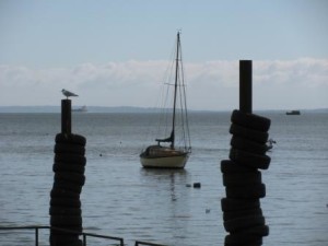 IMG_8140 - Copy