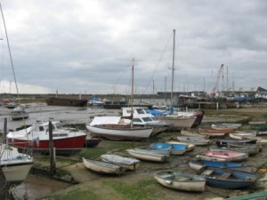 IMG_8145 - Copy