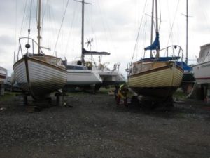IMG_8277 Gypsy and Whimbrel - red