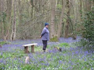 IMG_8310 - Copy