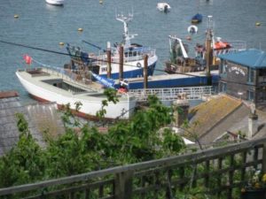 IMG_8631 - Copy
