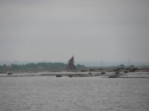 IMG_8651 - Copy