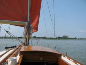 IMG_8665 - Copy